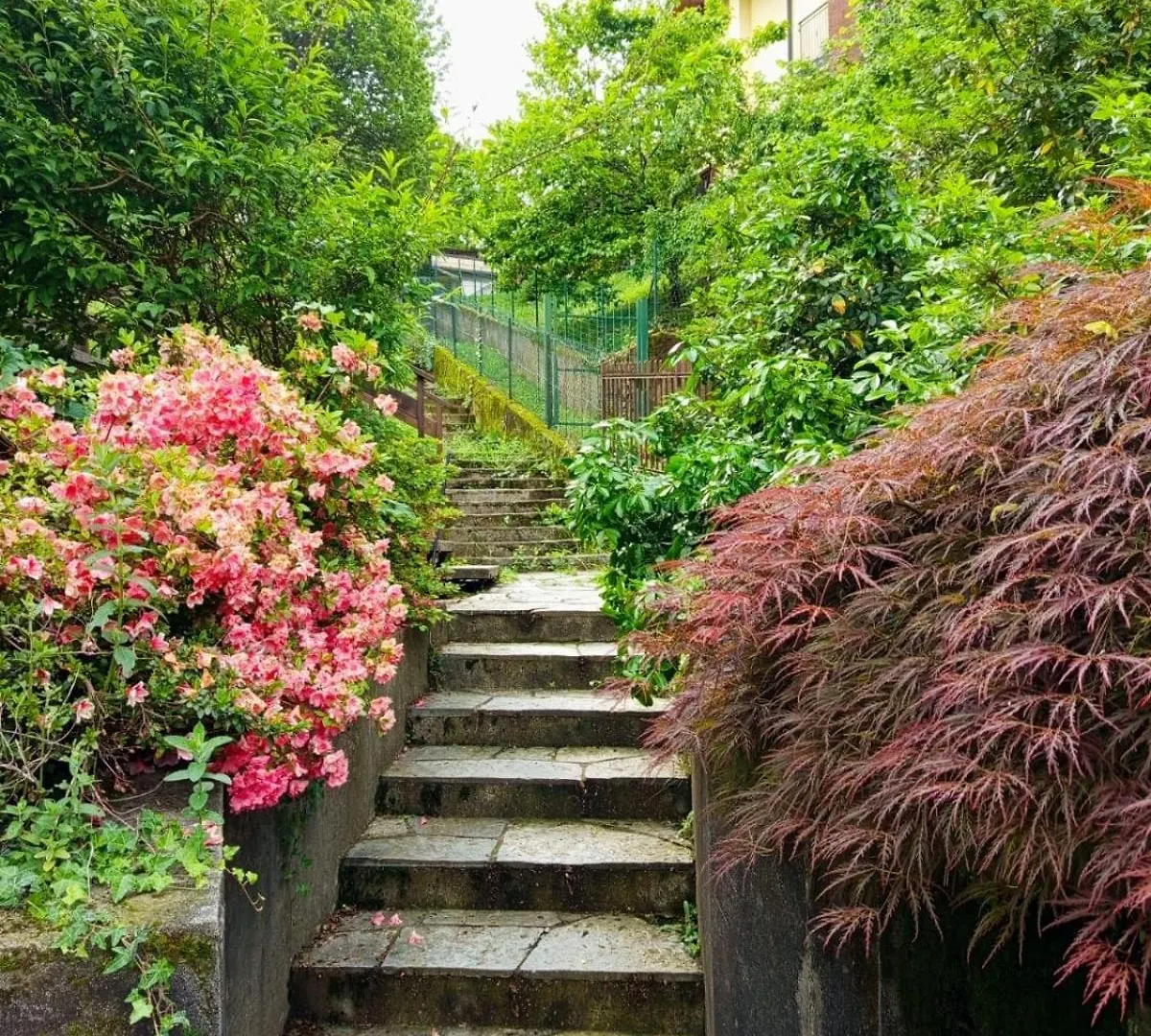 Villa La Palma Gemonio Italien
