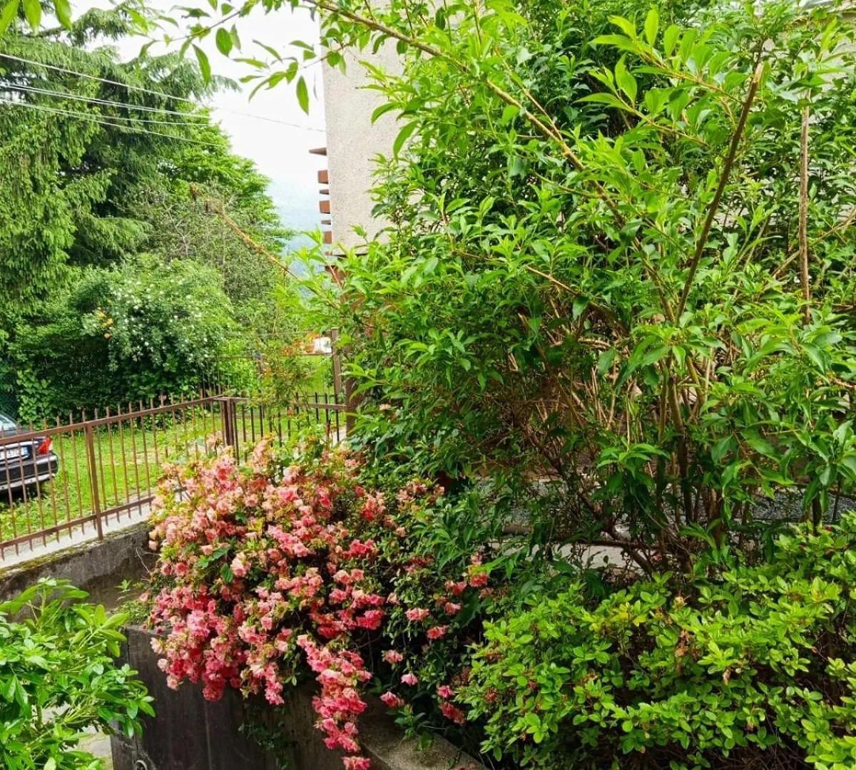 Villa La Palma Gemonio